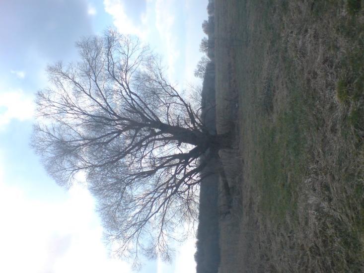 Гельмязів з panoramio.com - Гельмязів