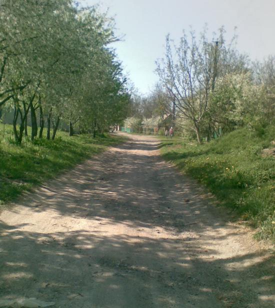 Ковалівка з panoramio.com - Ковалівка