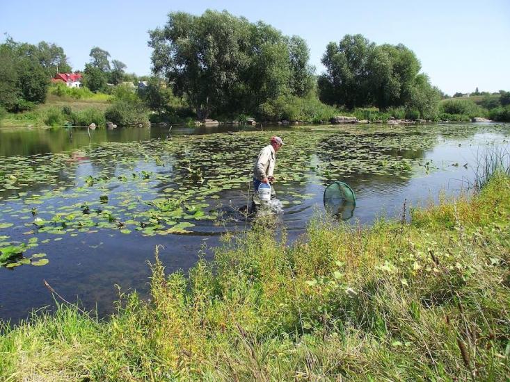 Городище-Пустоварівське з panoramio.com - Городище-Пустоваровское