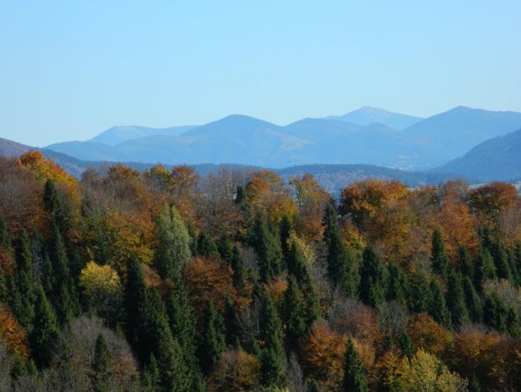 Опорець з panoramio.com - Oporets