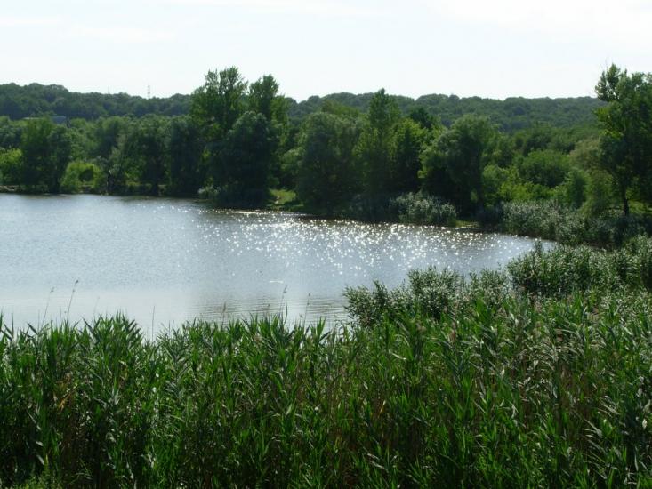 Високий з panoramio.com - Високий