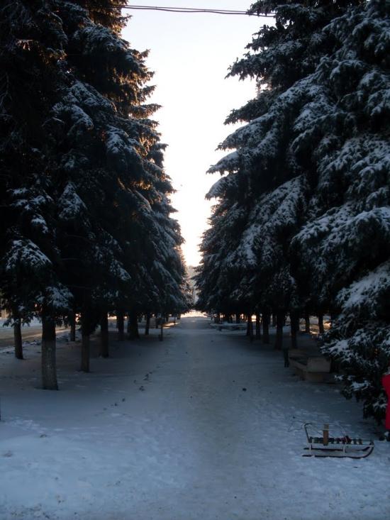 Зимівники з panoramio.com - Зимовники