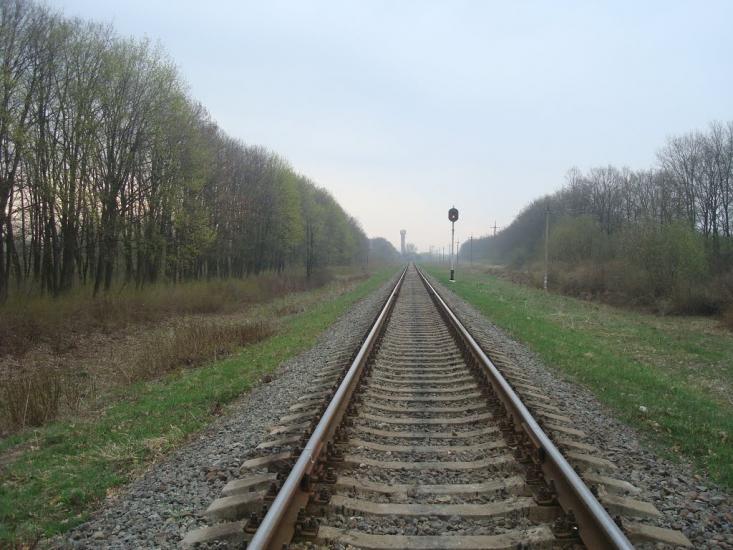 Пашківці з panoramio.com - Пашковцы