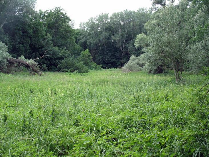 Синичине з panoramio.com - Синичине