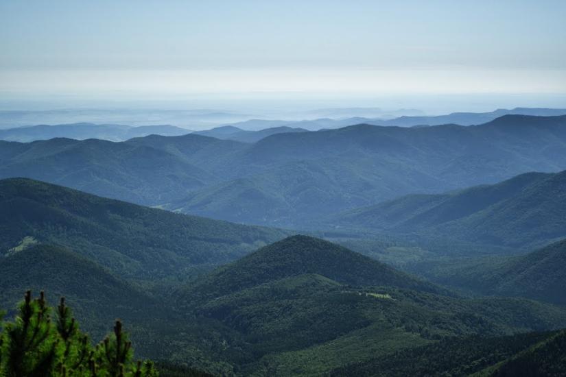 Кузьминець з panoramio.com - Кузьминець