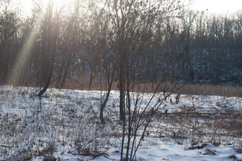 Коврай з panoramio.com - Коврай