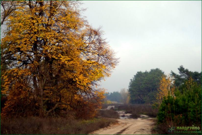 Зачепилівка з panoramio.com - Зачепиловка