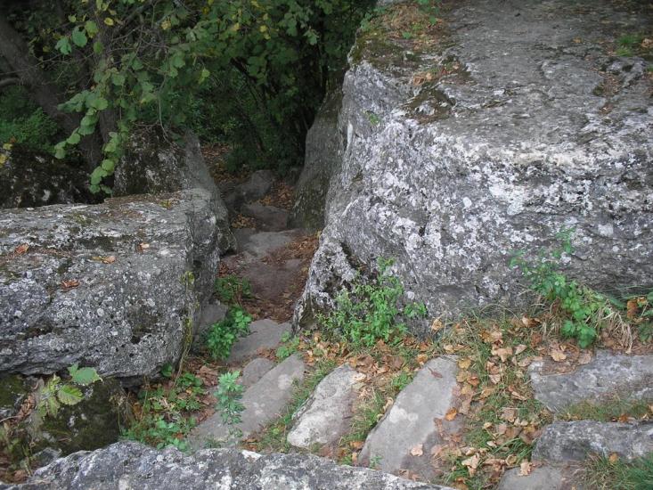 Великі Бережці з panoramio.com - Velyki Berezhtsi