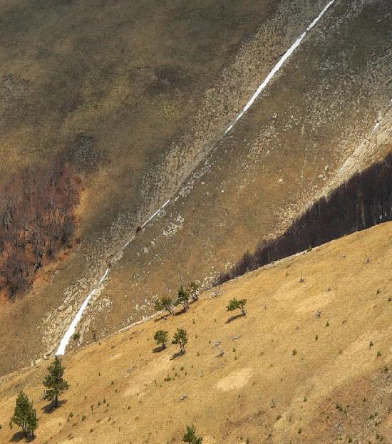 Підгородне з panoramio.com - Подгороднее