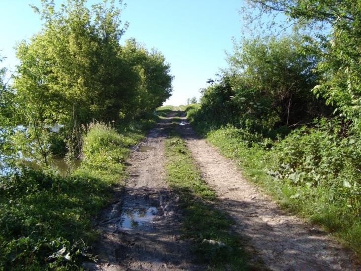 Раціборівка з panoramio.com - Рациборовка