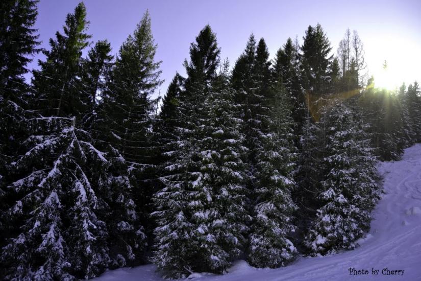 Тухолька з panoramio.com - Тухолька