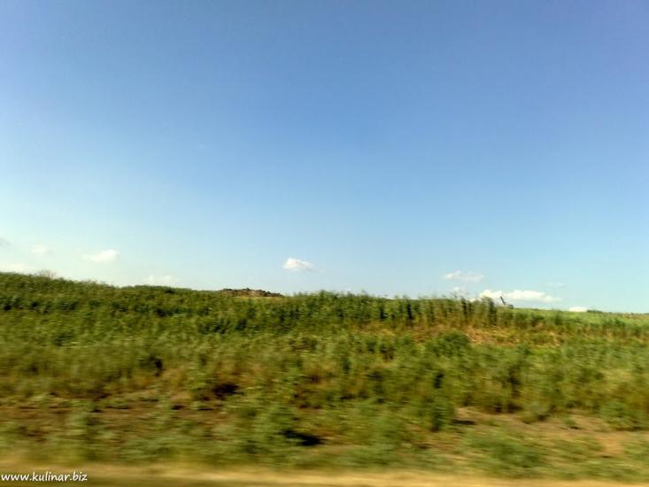 Балабине з panoramio.com - Балабино