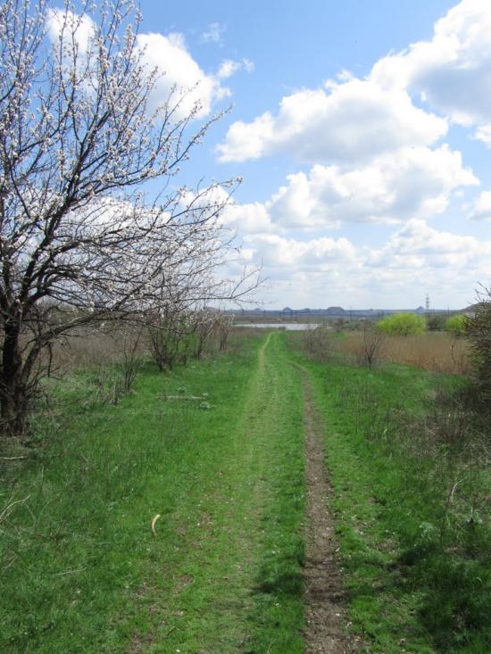 Жданівка з panoramio.com - Ждановка