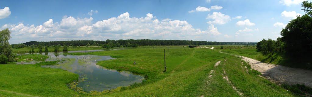 Хотин з panoramio.com - Хотин