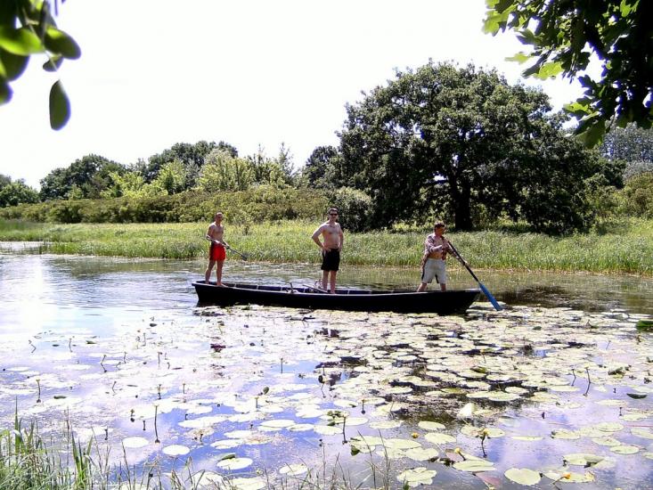 Хрещатик з panoramio.com - Крещатик