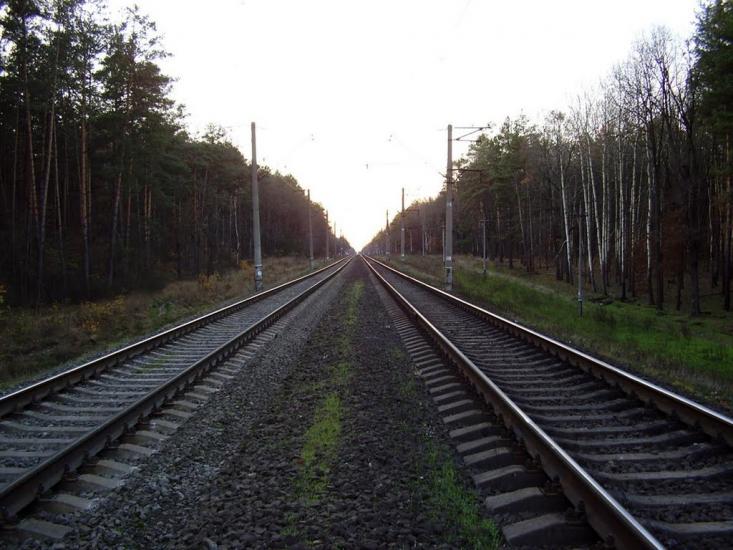 Княжичі з panoramio.com - Княжичі