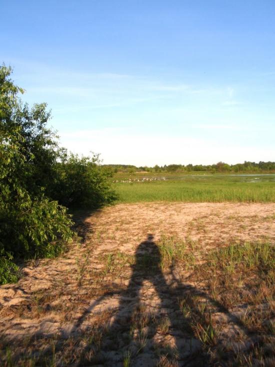 Неданчичі з panoramio.com - Nedanchychi