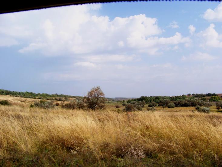 Розанівка з panoramio.com - Розанівка