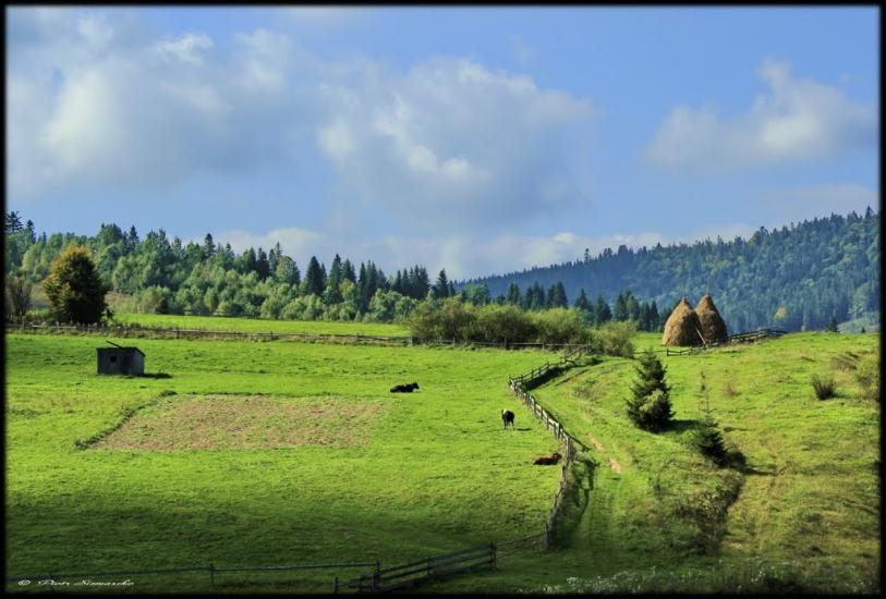 Сможе з panoramio.com - Сможе