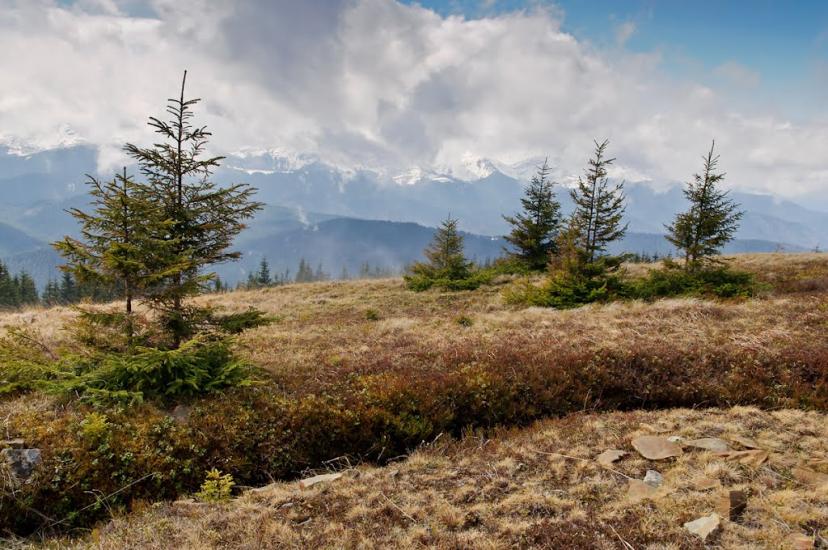 Кривопілля з panoramio.com - Кривопілля