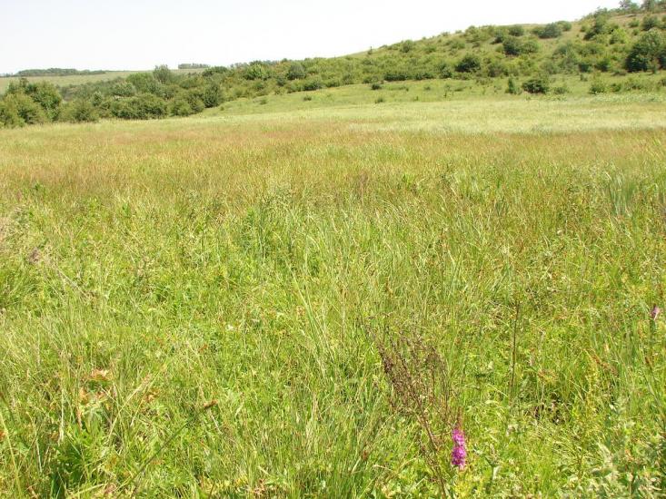 Никанорівка з panoramio.com - Никаноровка