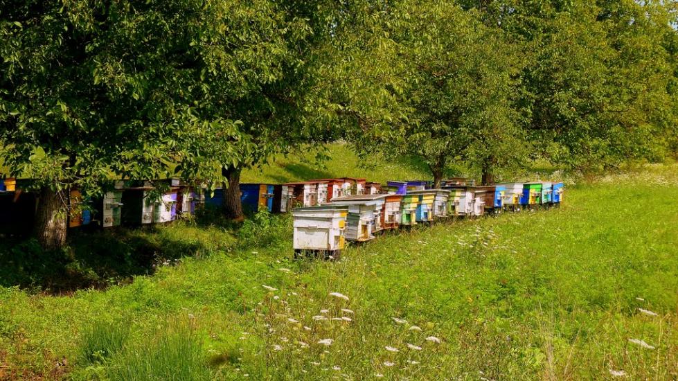 Страбичово з panoramio.com - Страбичово