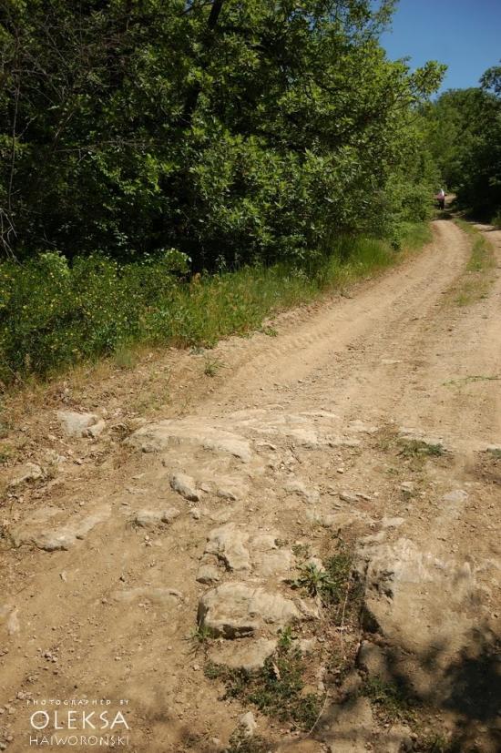 Красна Зоря з panoramio.com - Красна Зоря