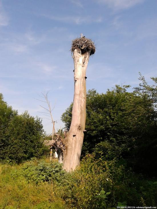 Переяслівка з panoramio.com - Переяслівка