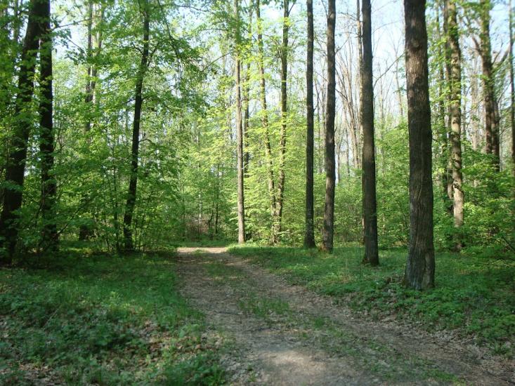 М'ясківка з panoramio.com - М'ясківка