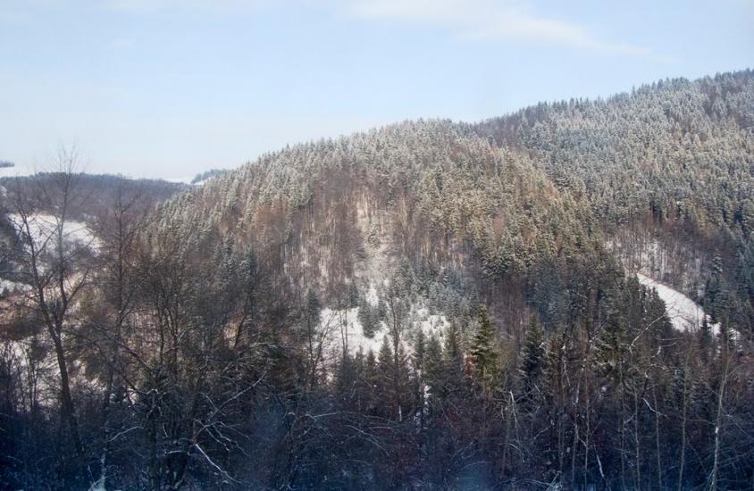 Скотарське з panoramio.com - Skotarske