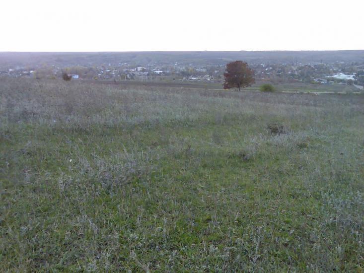 Фрунзівка з panoramio.com - Фрунзівка
