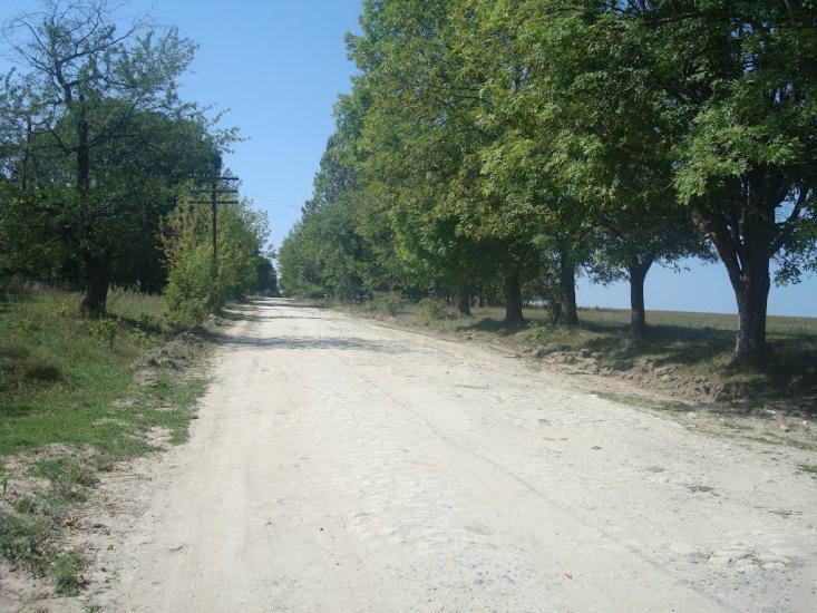 Ставчани з panoramio.com - Ставчаны