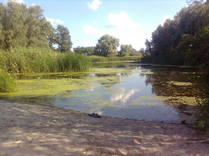 Кам'яні Потоки з panoramio.com - Kamyani Potoky