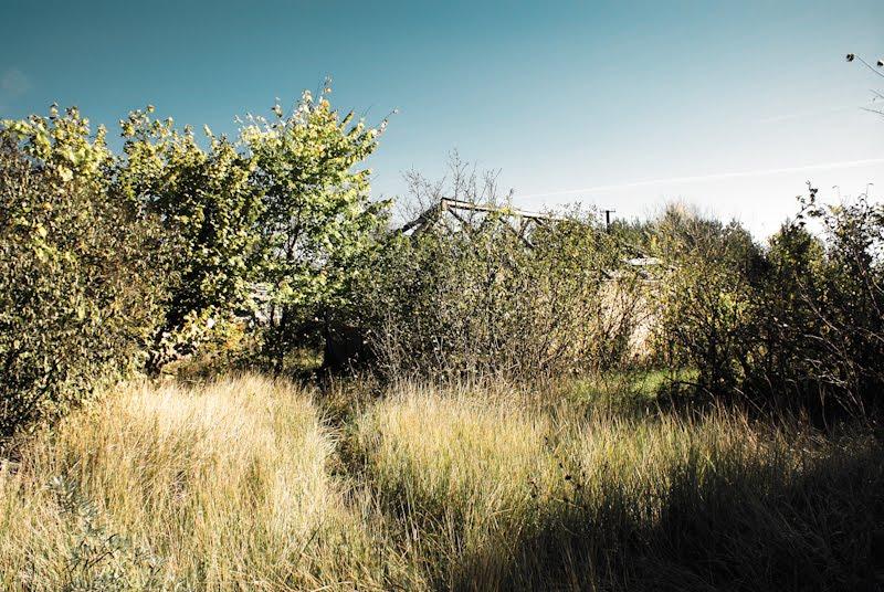 Сусідки з panoramio.com - Соседки