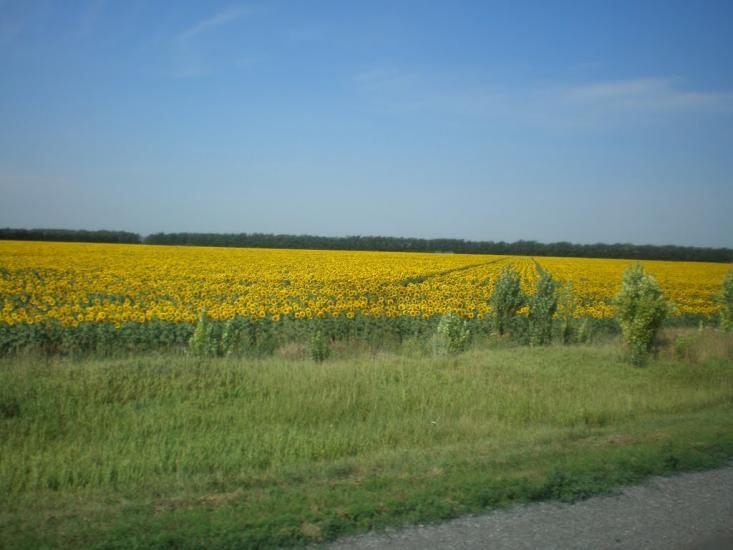 Никонорівка з panoramio.com - Никаноровка