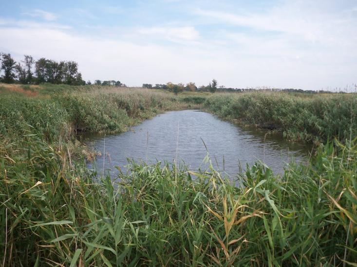 Баштанка з panoramio.com - Баштанка
