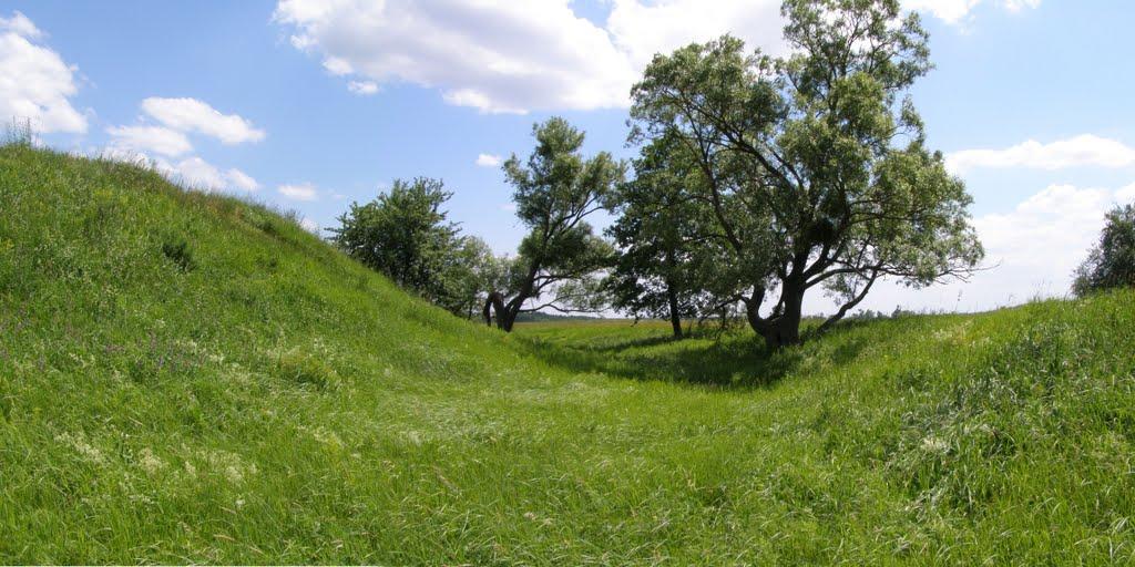 Бушеве з panoramio.com - Бушеве