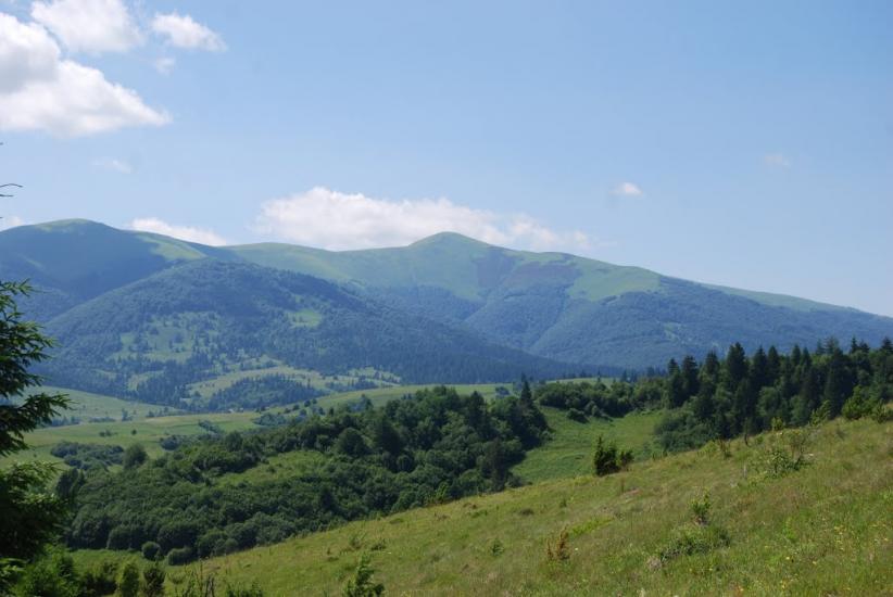 Річка з panoramio.com - Річка
