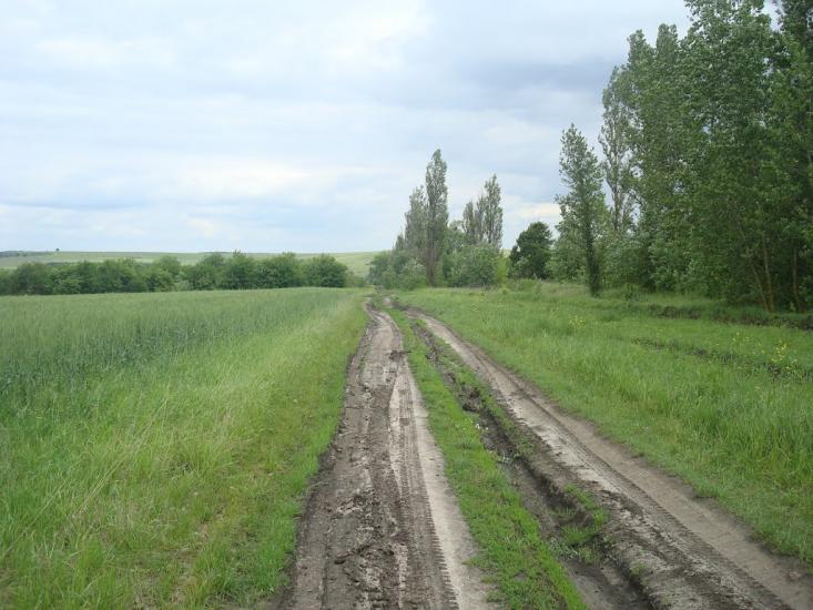 Стуфчинці з panoramio.com - Stufchyntsi