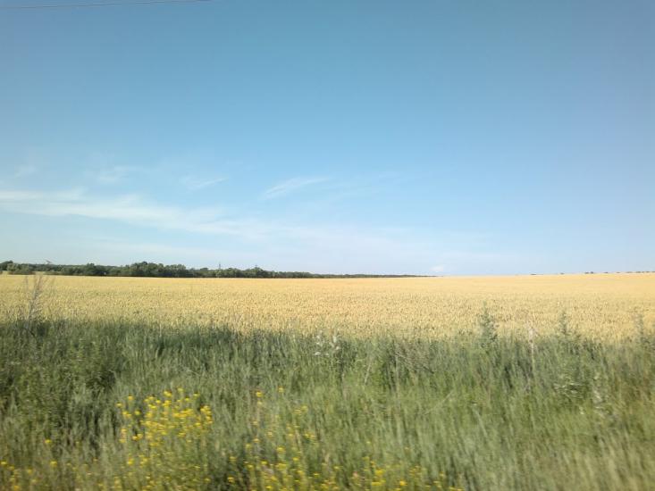Пантелеймонівка з panoramio.com - Пантелеймонівка