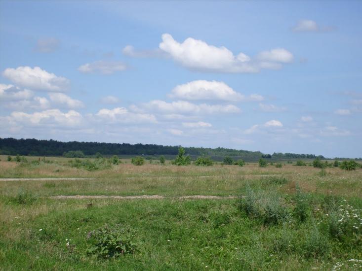 Браїлів з panoramio.com - Brayiliv