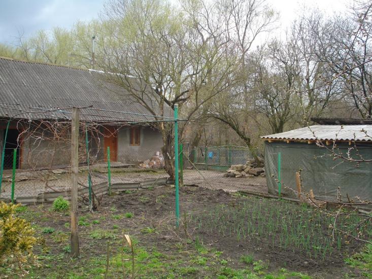 Кривичі з panoramio.com - Кривичі