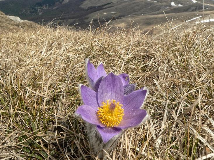 Підгородне з panoramio.com - Подгороднее