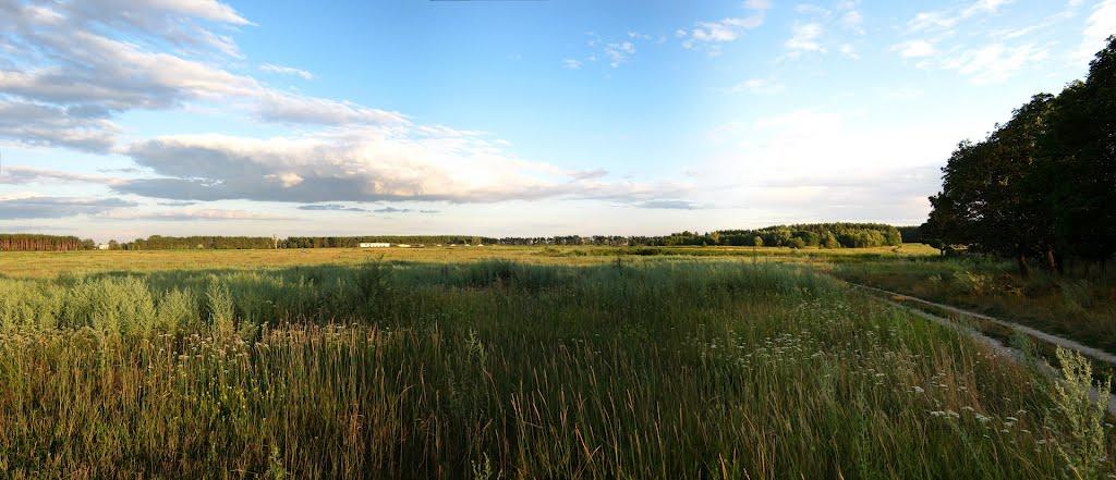 Богданівка з panoramio.com - Богданівка