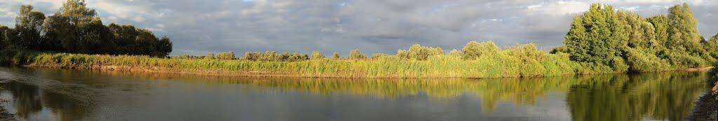 Вишевичі з panoramio.com - Вышевичи