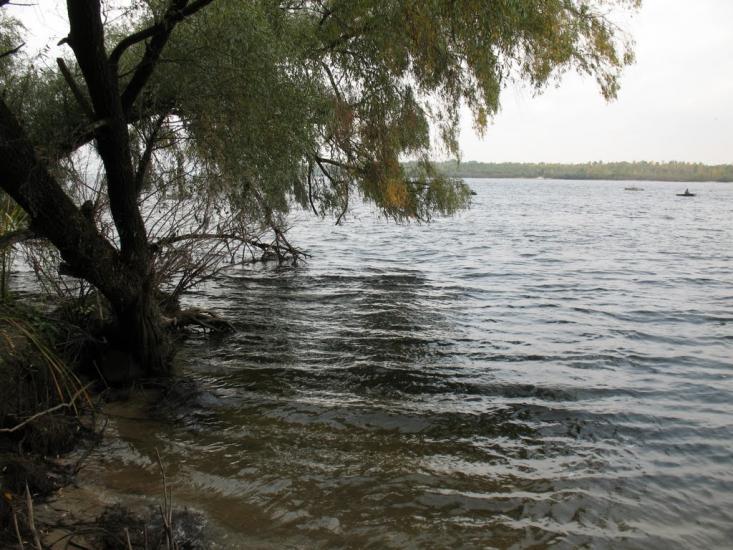 Хрещатик з panoramio.com - Крещатик