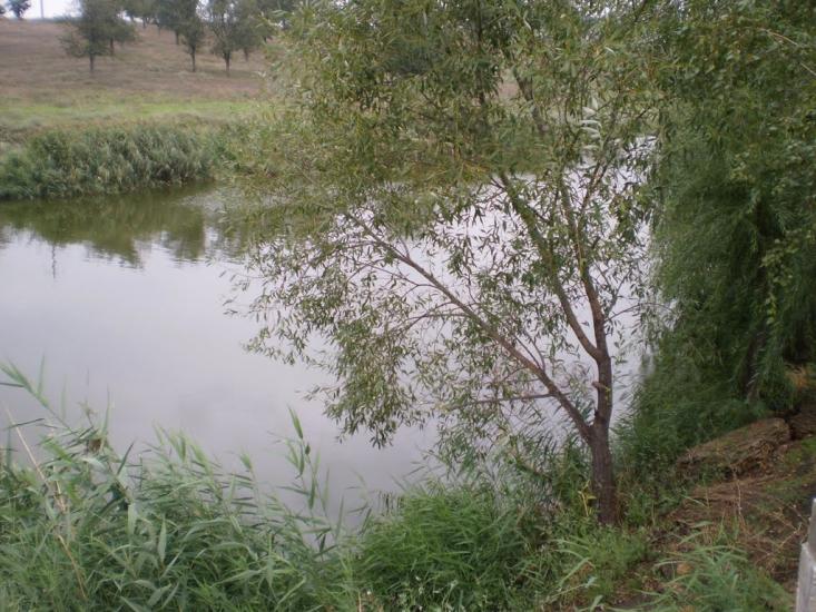 Сухий Лиман з panoramio.com - Сухой Лиман