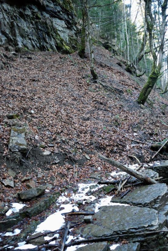 Кричка з panoramio.com - Krychka
