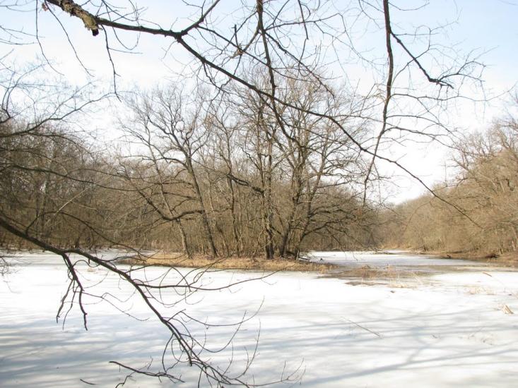 Підлісне з panoramio.com - Pidlisne