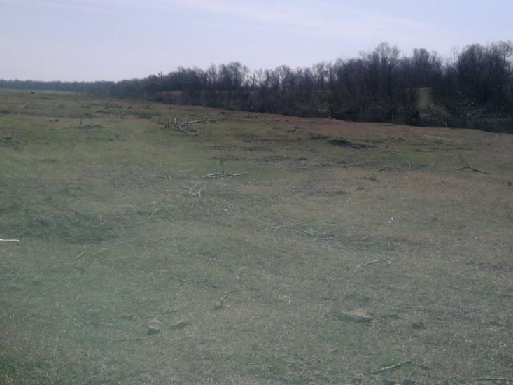 Стара Некрасівка з panoramio.com - Стара Некрасівка